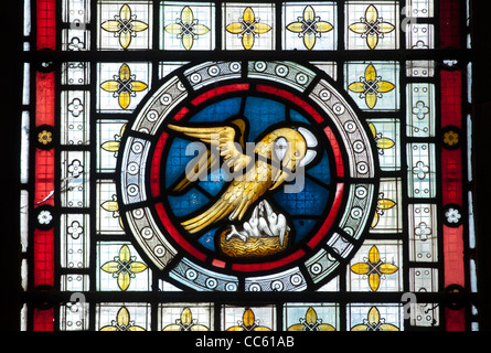 Pelican in its piety stained glass, St. Matthew`s Church, Salford Priors, Warwickshire, England, UK Stock Photo